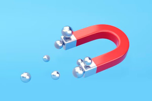 p14 p14